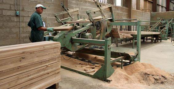 scierie bois découpe